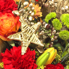 The Festive Florist&#39;s Choice