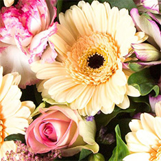 Florist&#39;s Choice Tied Sheaf