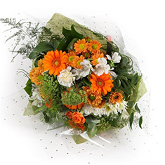 Autumnal Tied Bunch