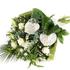White Tied Sheaf