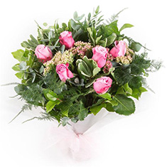 Half a Dozen Pink Roses