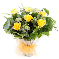 Half a Dozen Yellow Roses