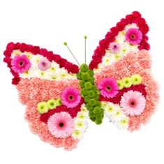 Butterfly Tribute