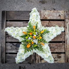 Star Tribute