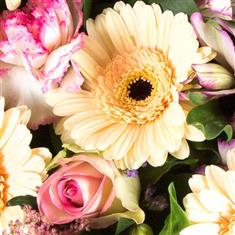 Florist&#39;s Choice Single Ended Spray