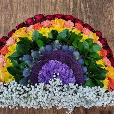 Rainbow Tribute