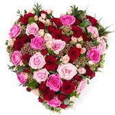 Hearts